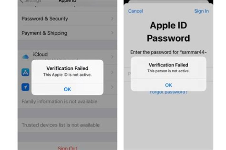 Why does my Apple ID say waiting for activation?